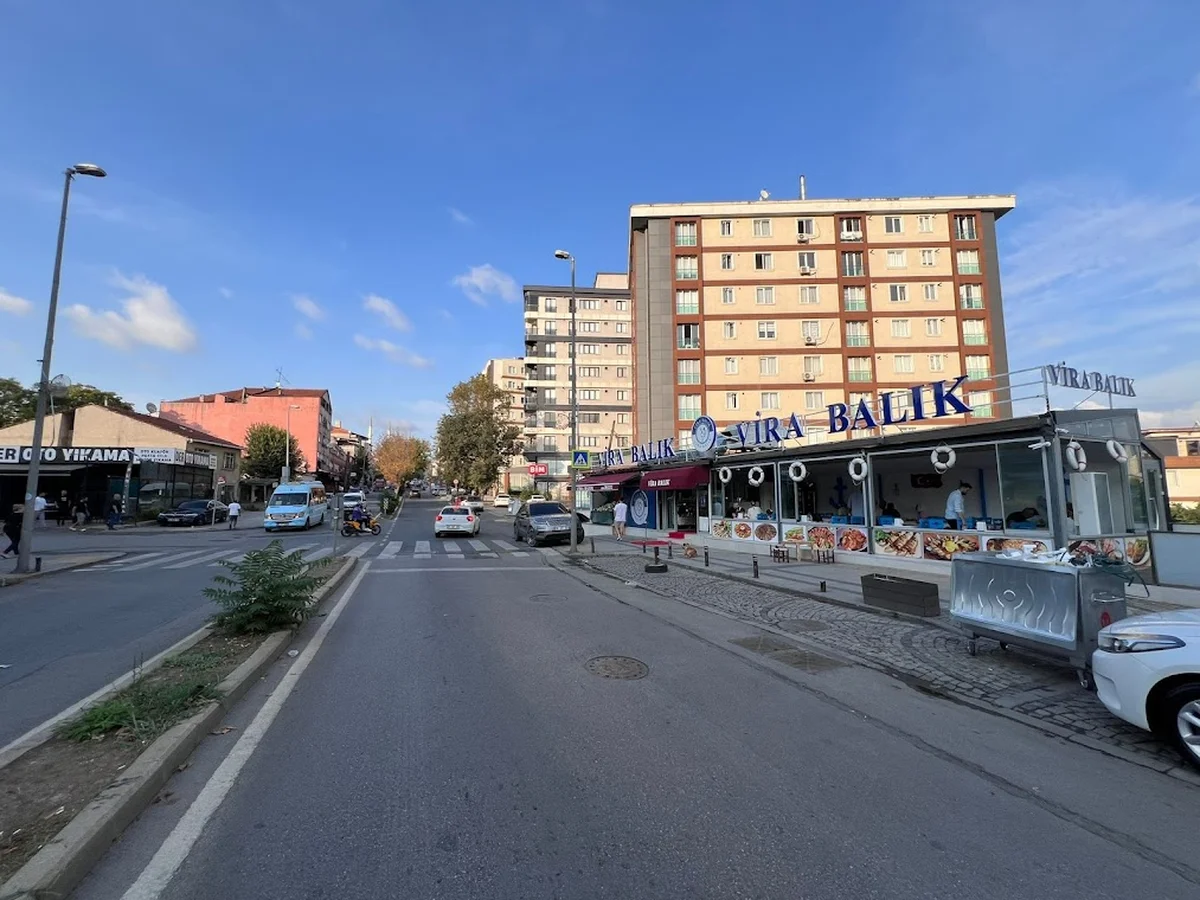 Vira Balık - Görsel 8