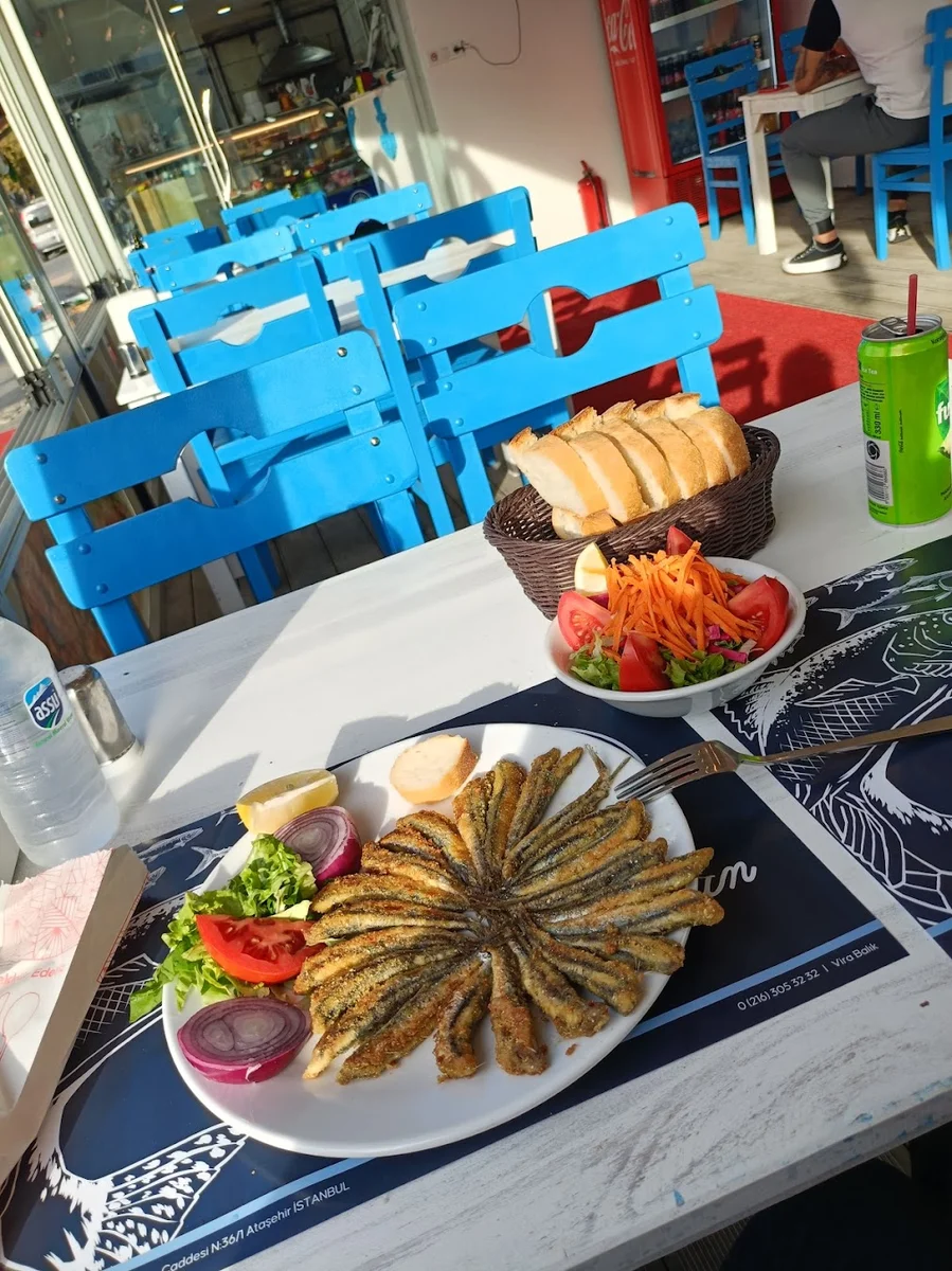 Vira Balık - Görsel 9