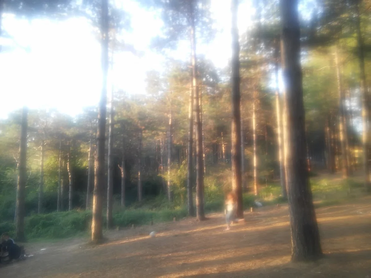 DoyDoy Bufe Lokanta Market - Görsel 7