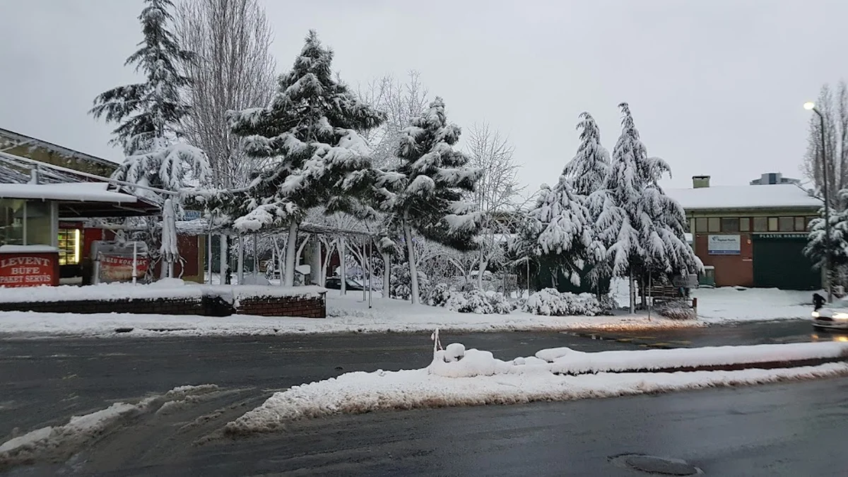 levent bufe - Görsel 2