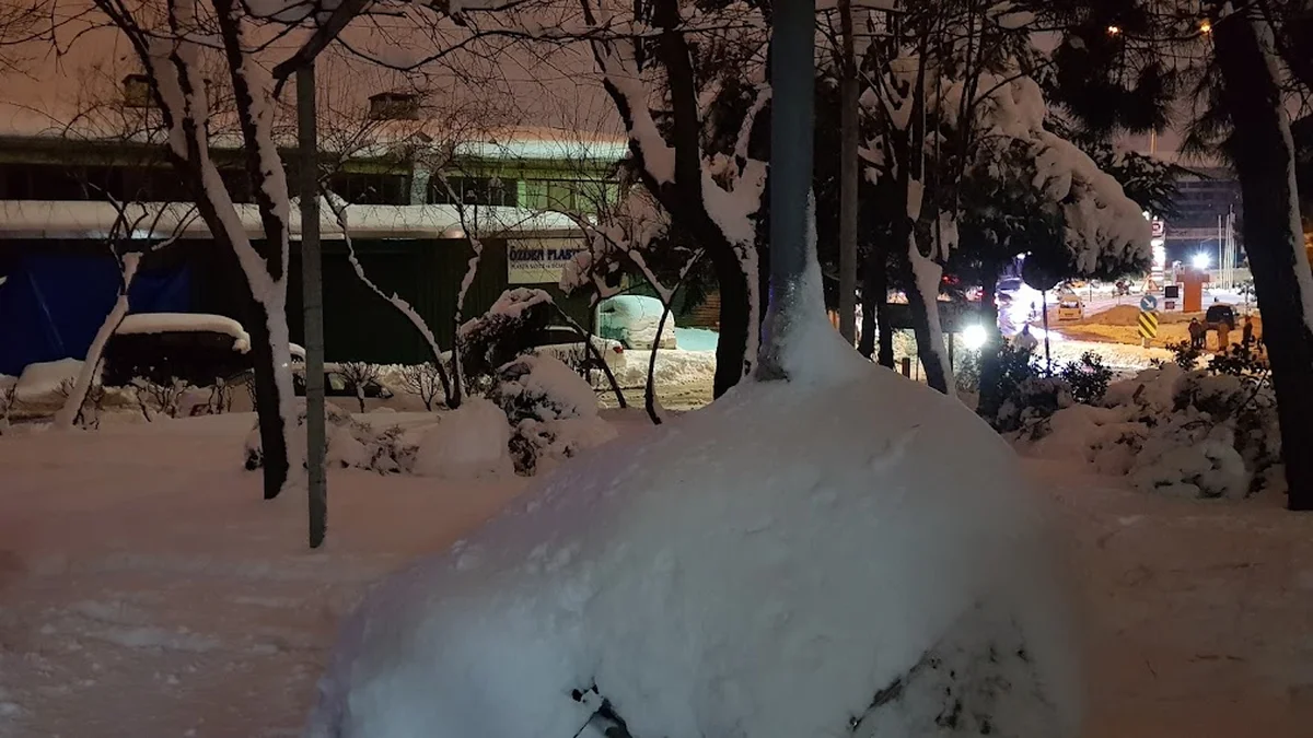 levent bufe - Görsel 6