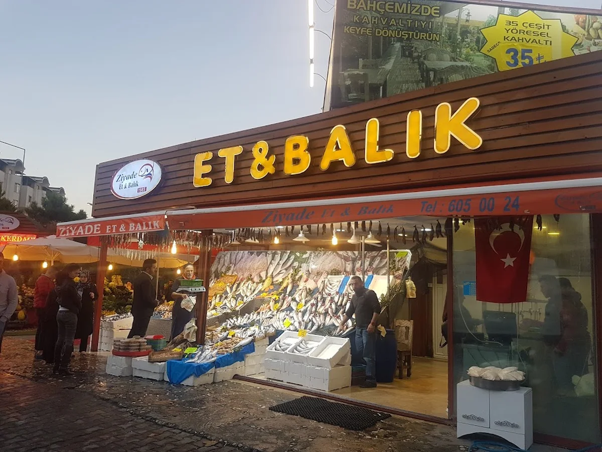Ziyade Balık - Görsel 1