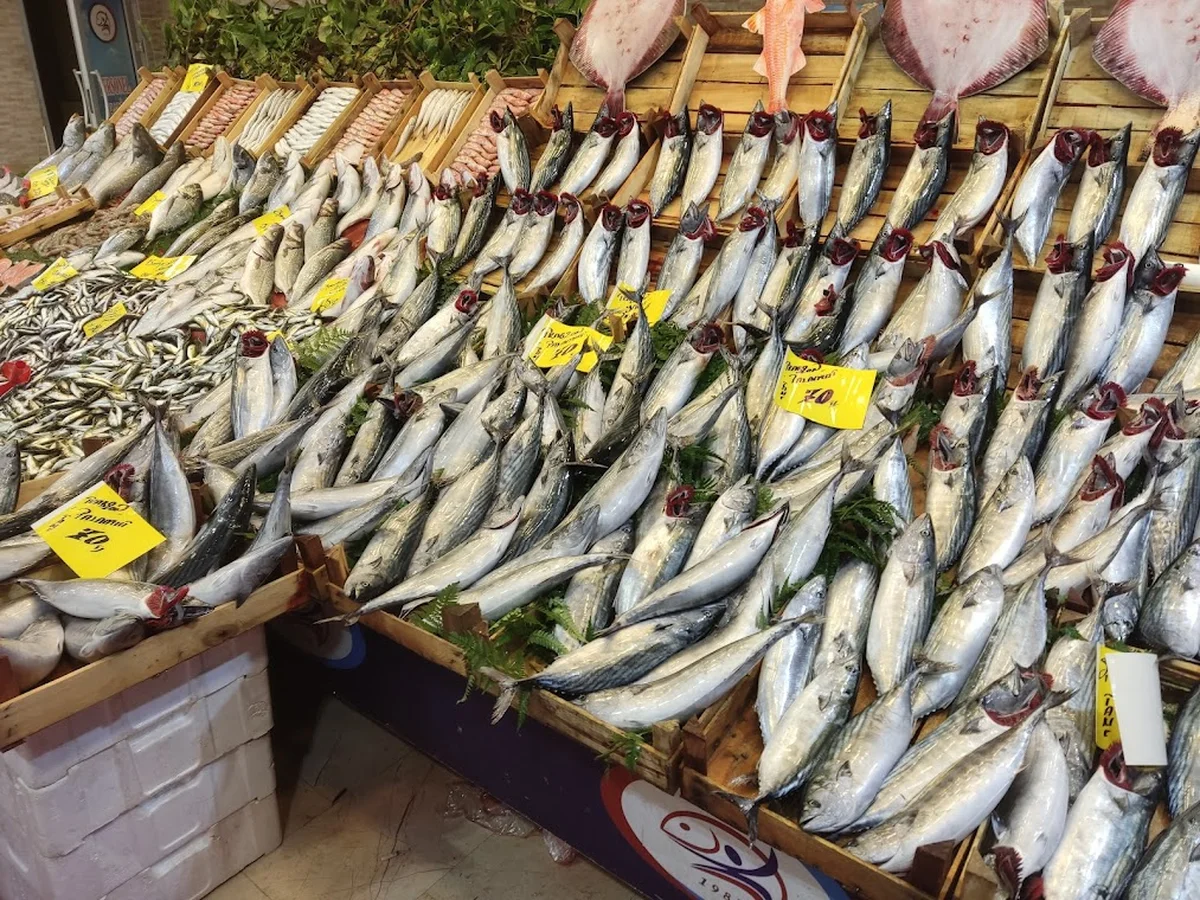 Ziyade Balık - Görsel 9