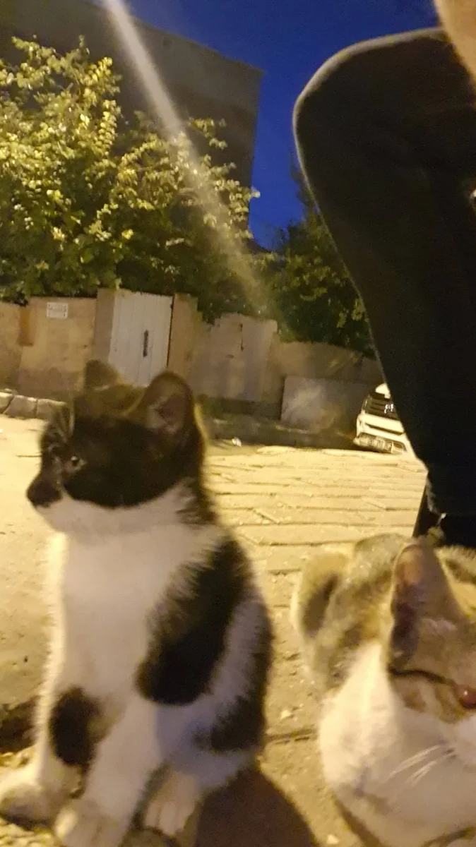 Oses Çiğköfte - Görsel 4