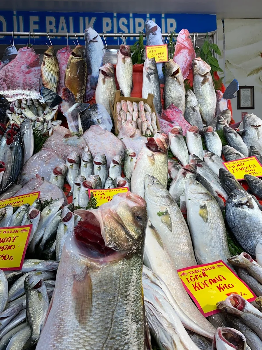 anadolu balık - Görsel 4