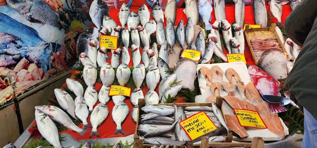 anadolu balık - Görsel 6