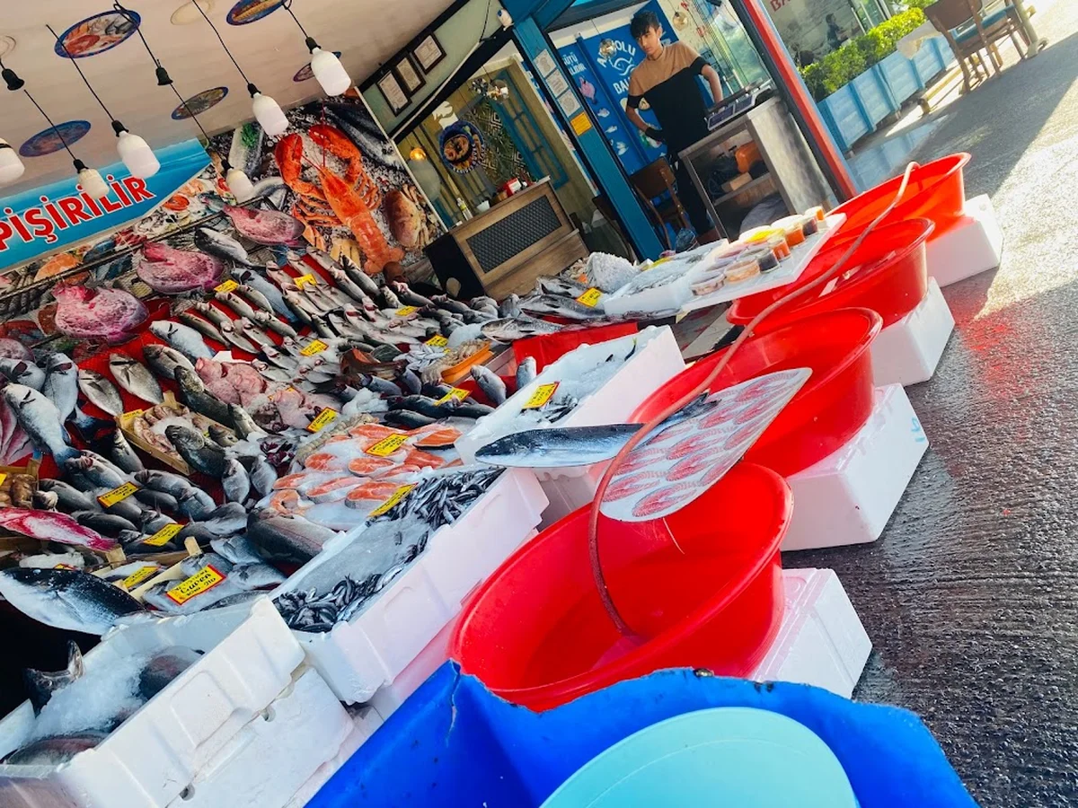 anadolu balık - Görsel 8