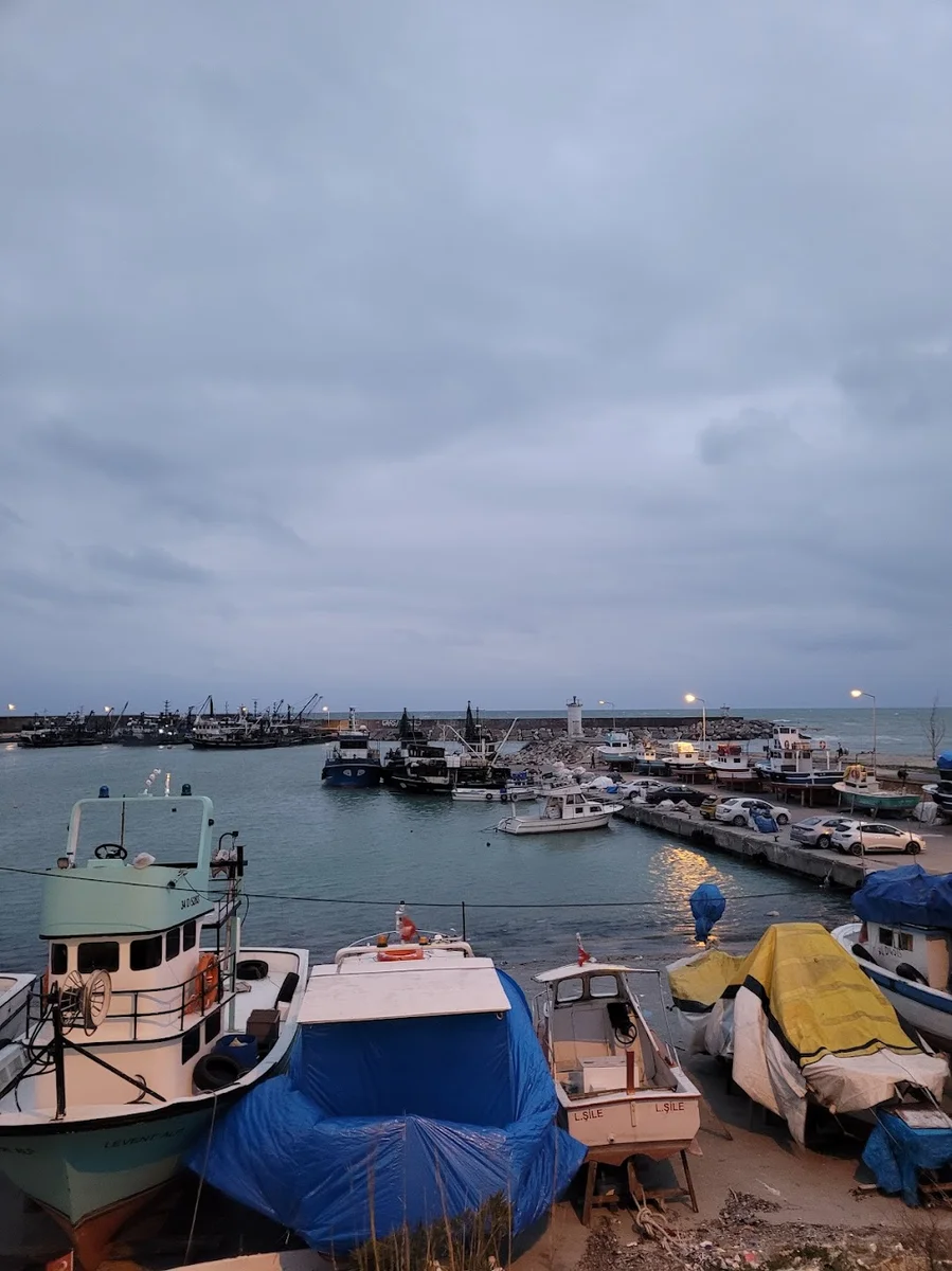 Hanımeli Balık Restaurant - Görsel 3