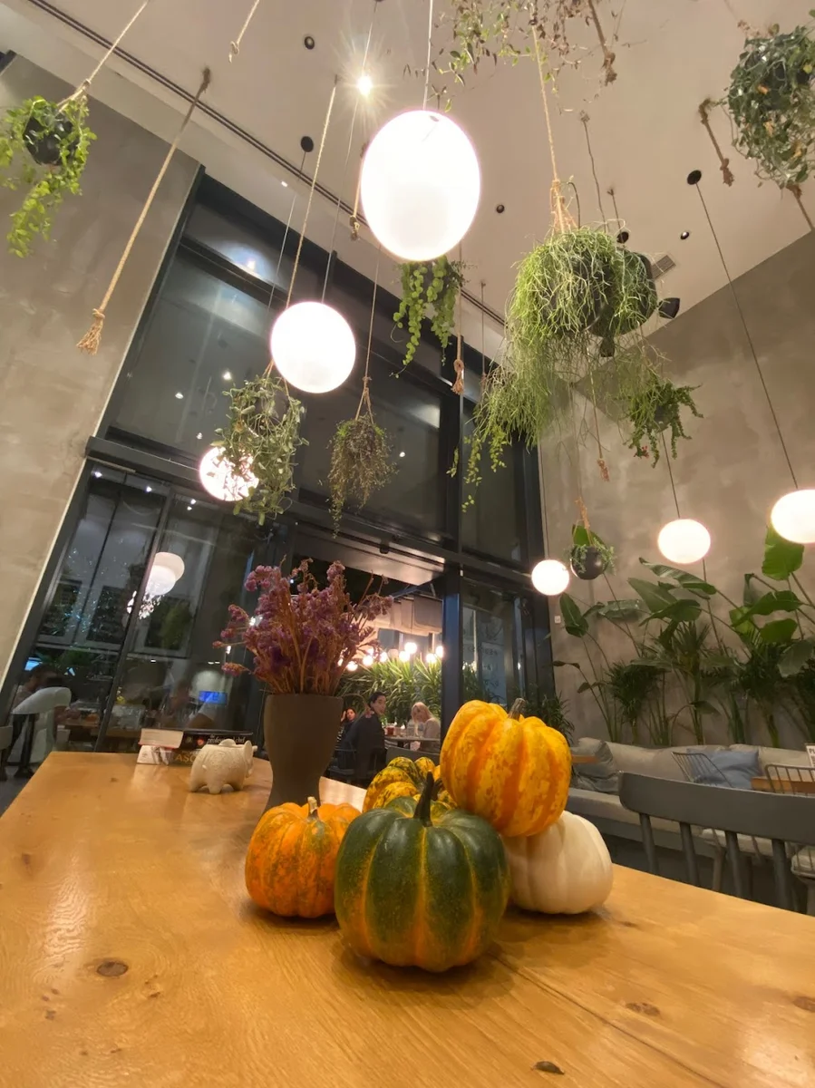 Planie Kitchen - Görsel 3