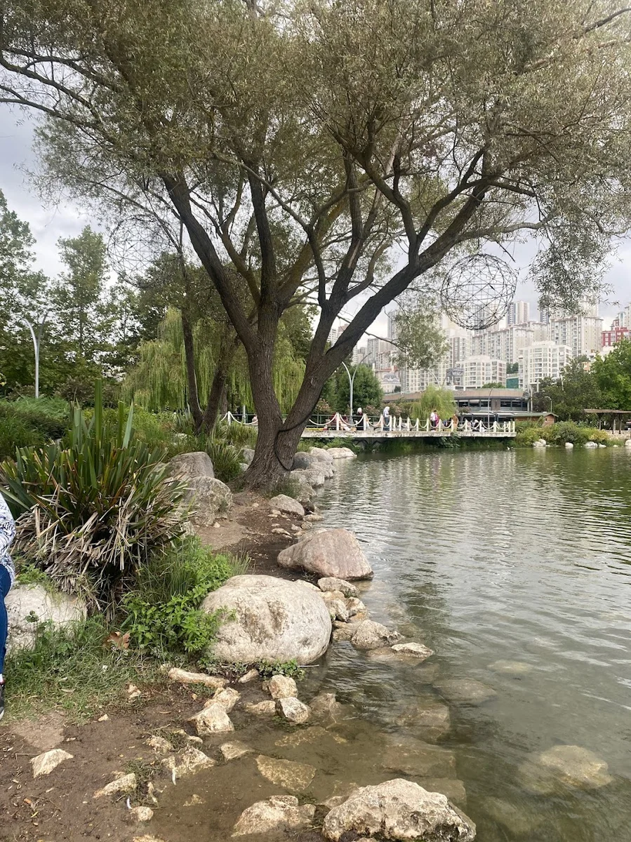 Şehir Meyhanesi - Görsel 8