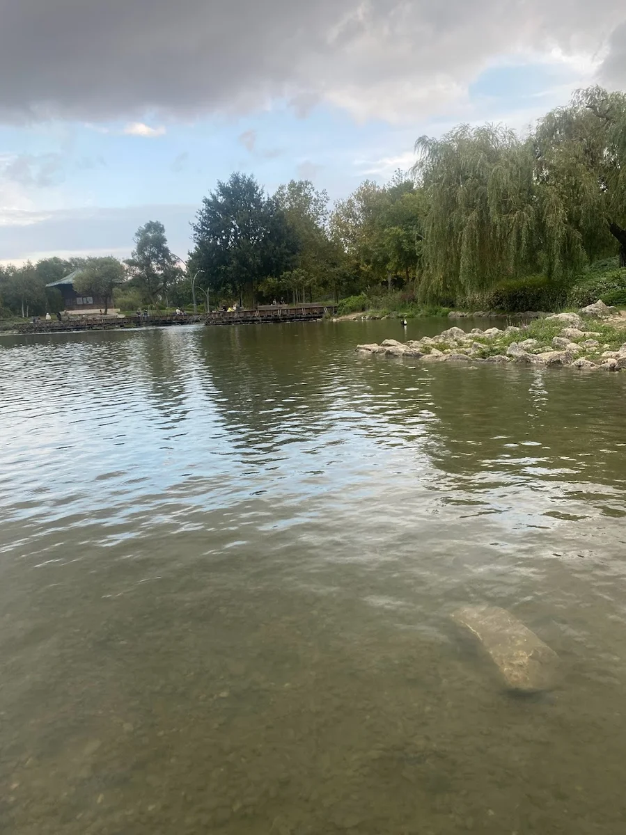 Şehir Meyhanesi - Görsel 9