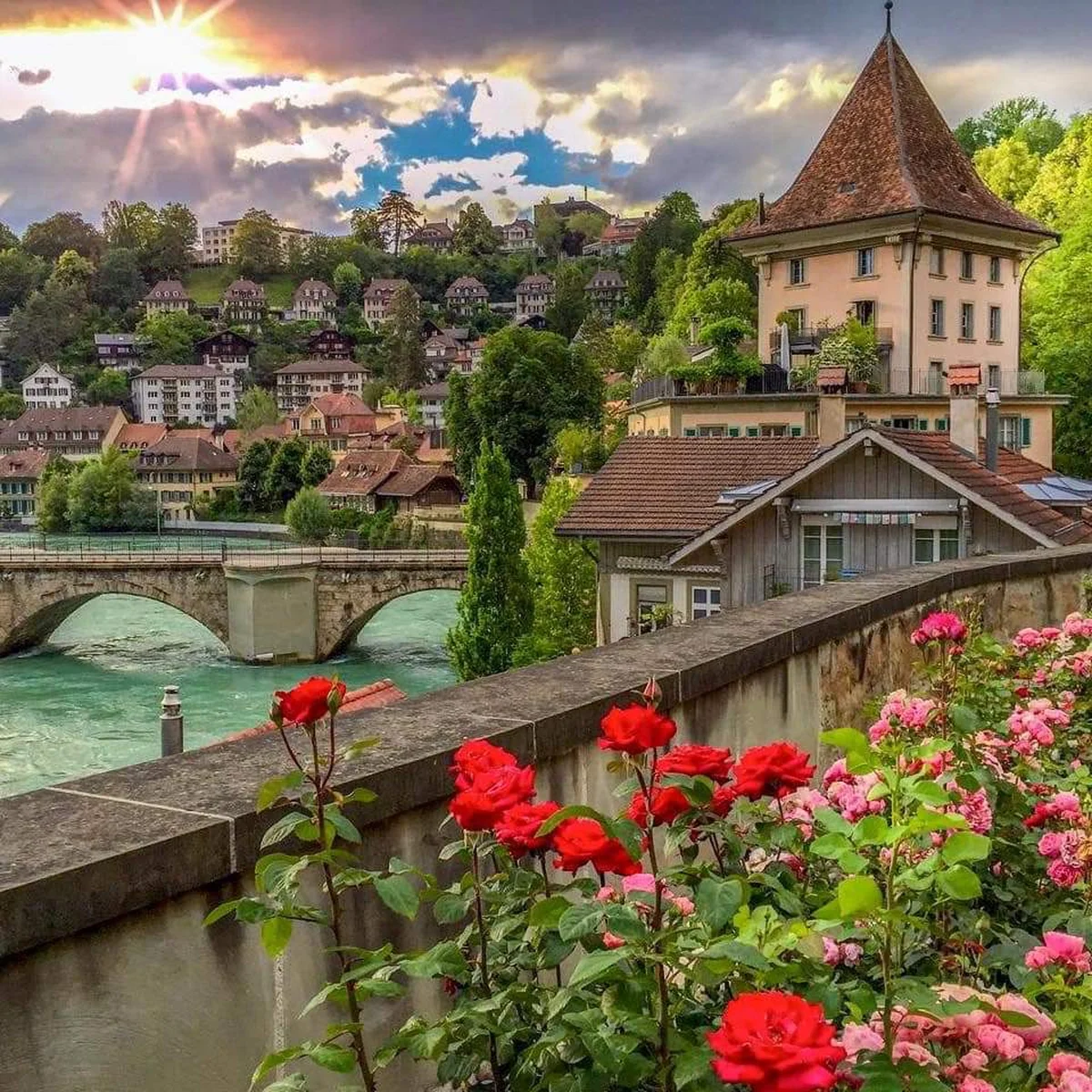 Şafak Balık Bahçeşehir - Görsel 4