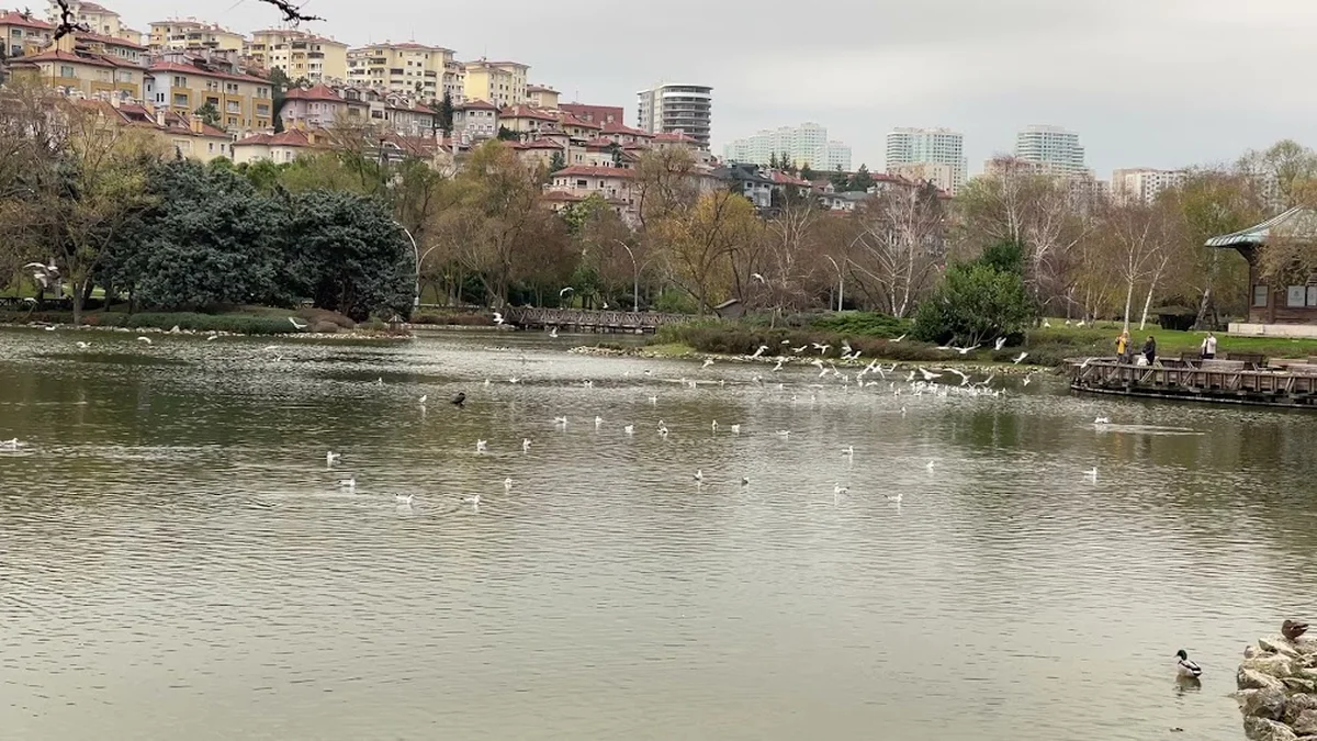 Bahçeşehir Gölet Parkı - Görsel 9