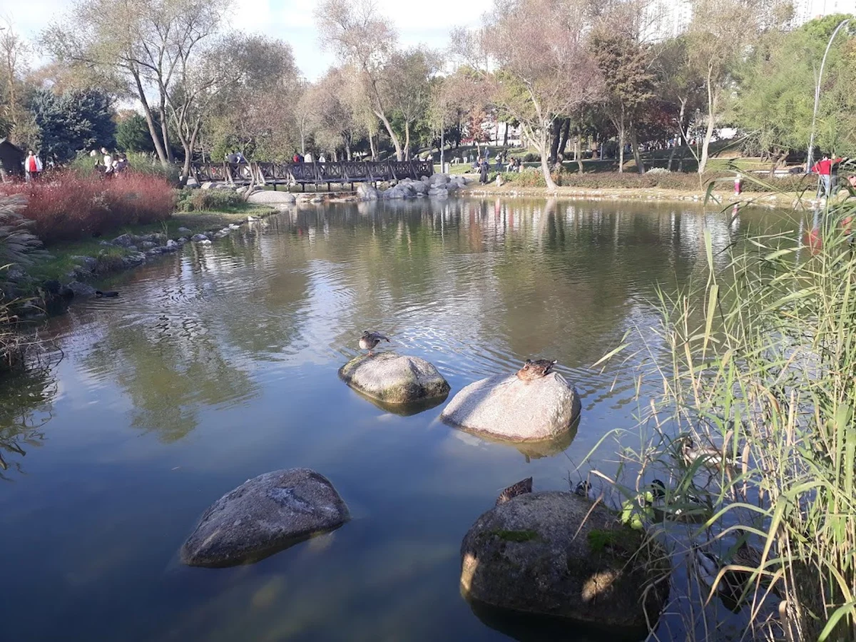 Bahçeşehir Gölet Parkı - Görsel 7