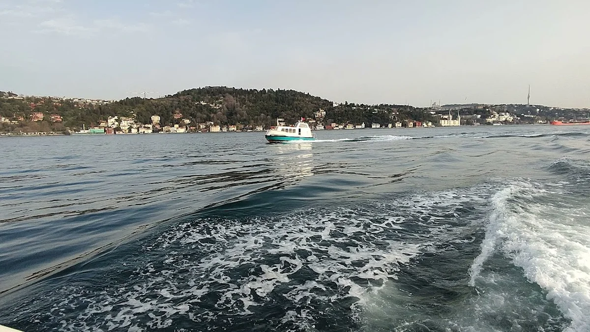 AkıntıBurnu Balık Restoranı | Arnavutköy - Görsel 1