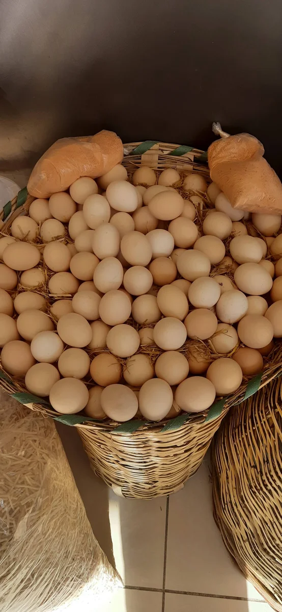 VEGA YUFKA GÖZLEME - Görsel 5