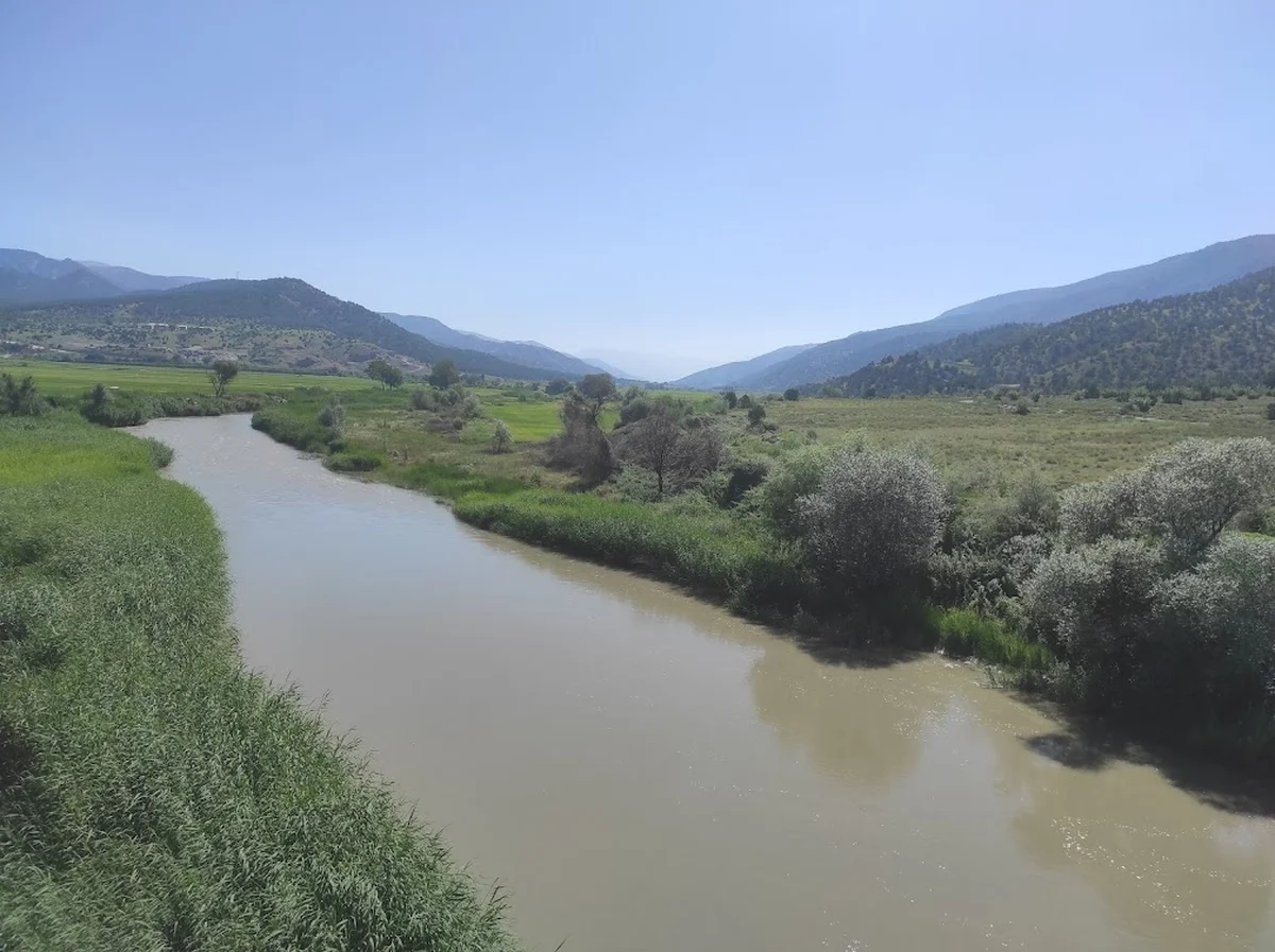 Pilav mania - Görsel 7