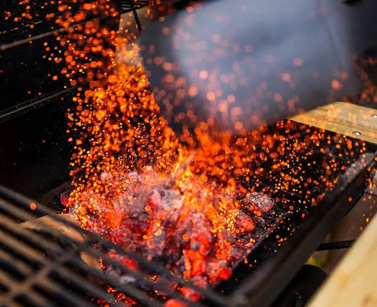 BOSS IZGARA - Görsel 1