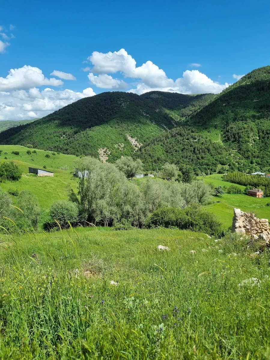 Sivas Misss Döner - Görsel 9