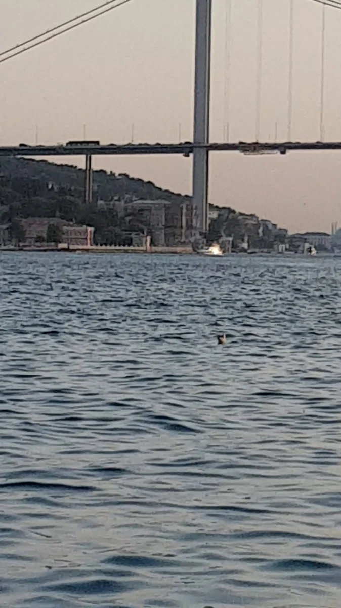 MAA Lounge Çengelköy - Görsel 1