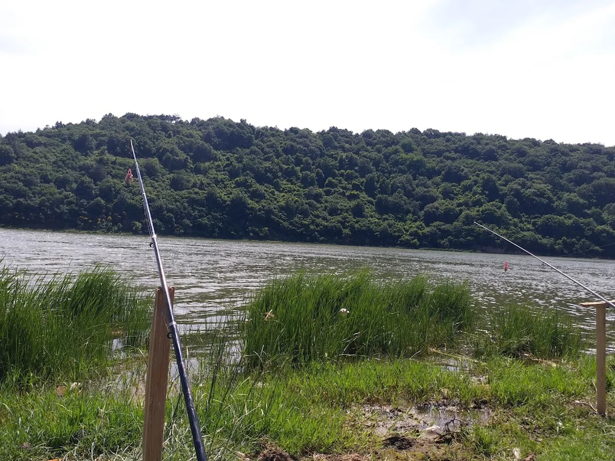 مطعم شام لار - Görsel 5