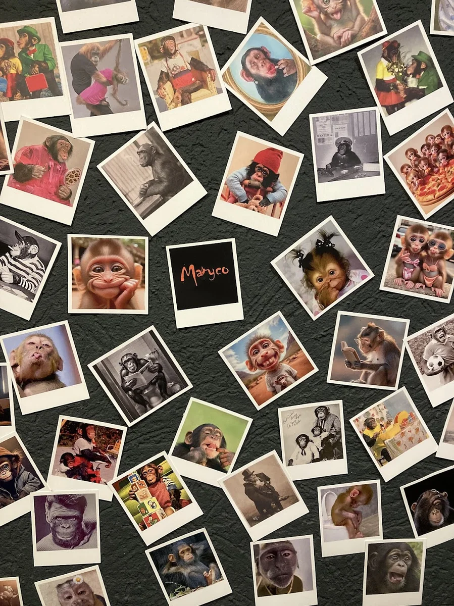 MARYCO CAFE RESTAURANT - Görsel 8