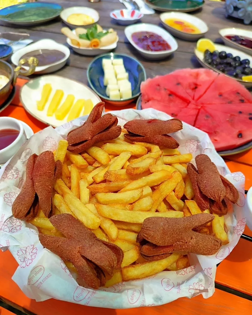 ŞELALE RÜYA BAHÇESİ - Görsel 1