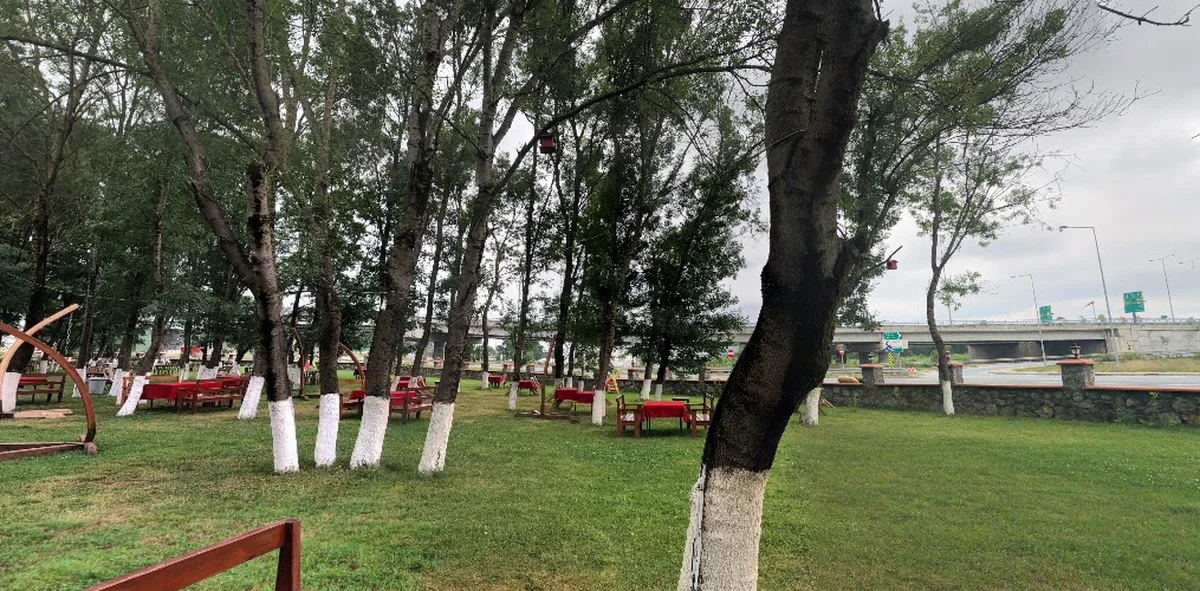 Çınar Et Mangal - Görsel 9