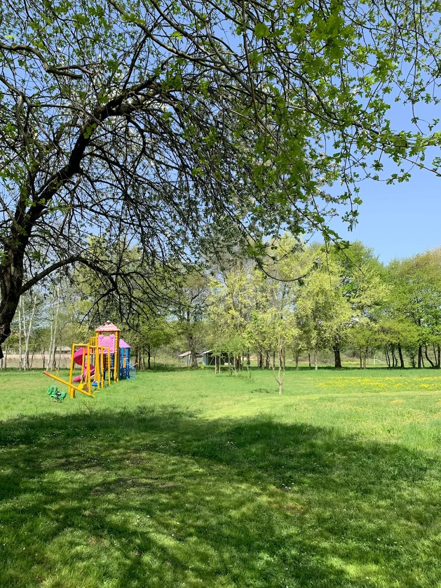 Çınar Piknik Alanı - Görsel 1