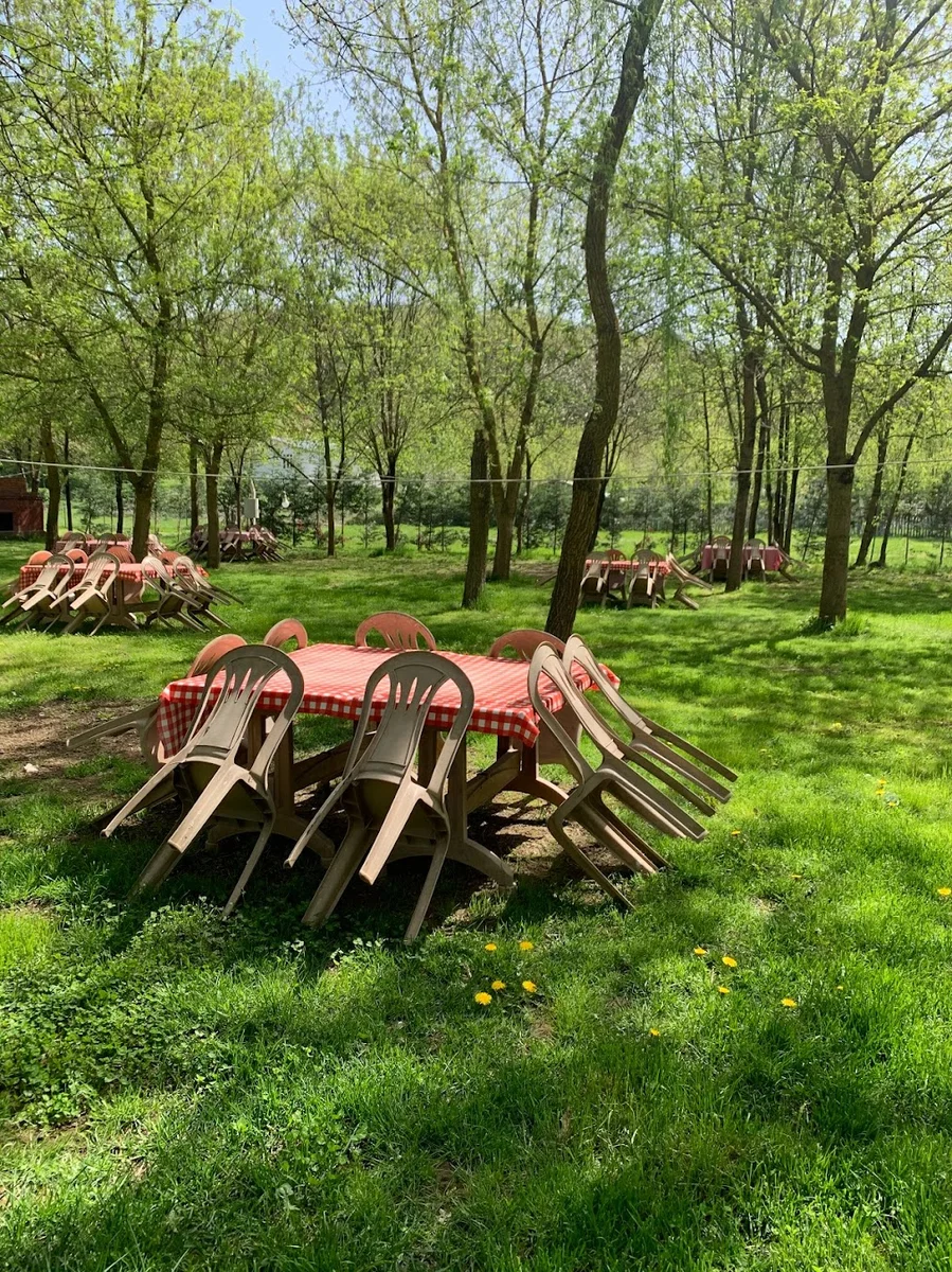 Çınar Piknik Alanı - Görsel 3