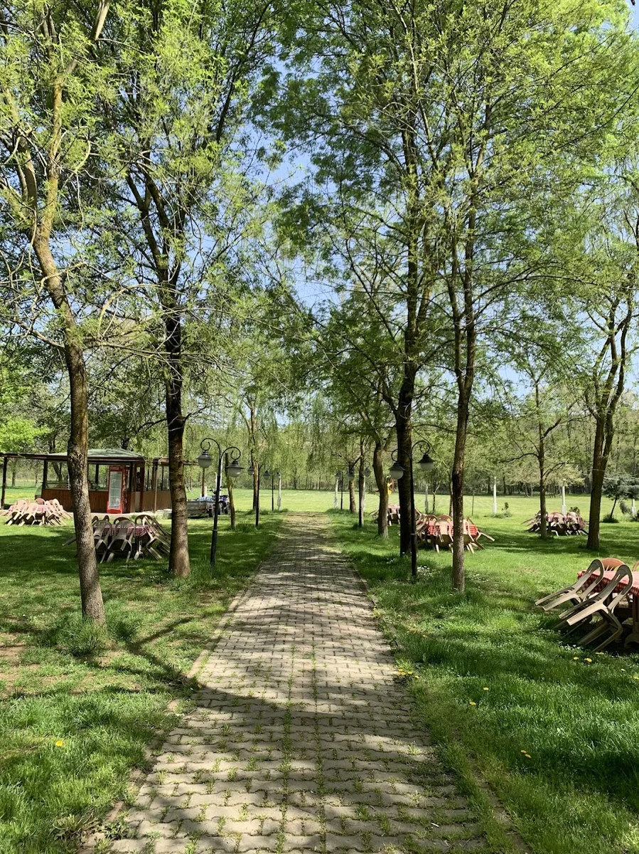 Çınar Piknik Alanı - Görsel 4