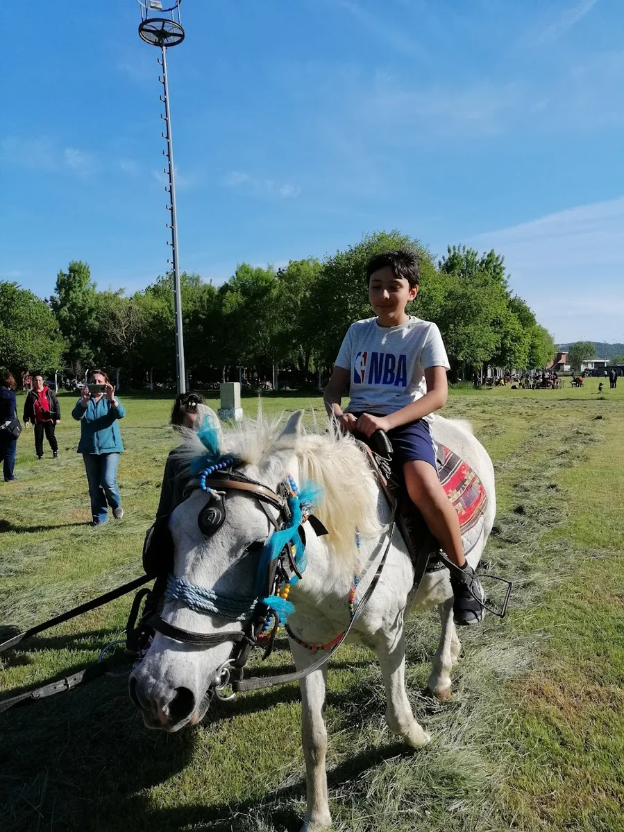 Çınar Piknik Alanı - Görsel 7