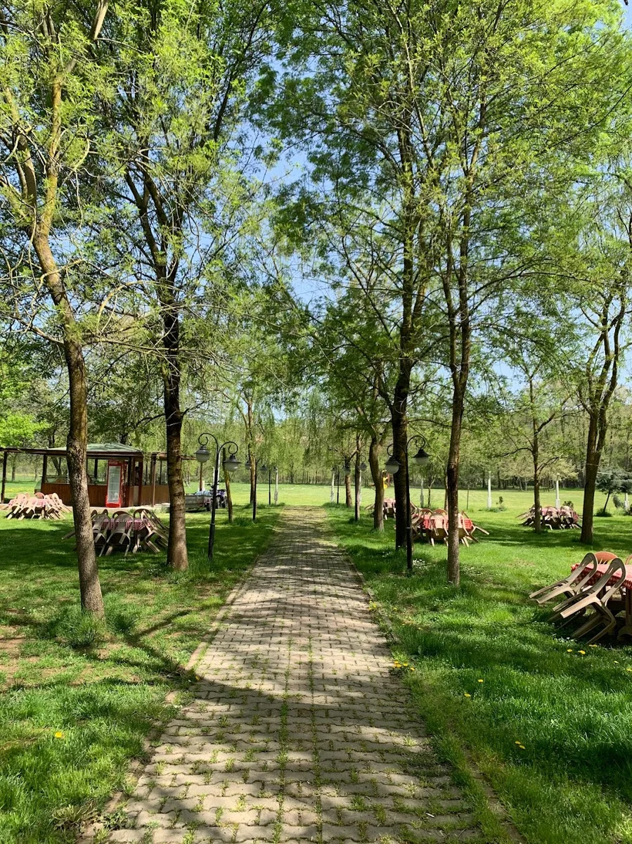 Çınar Piknik Alanı - Görsel 8