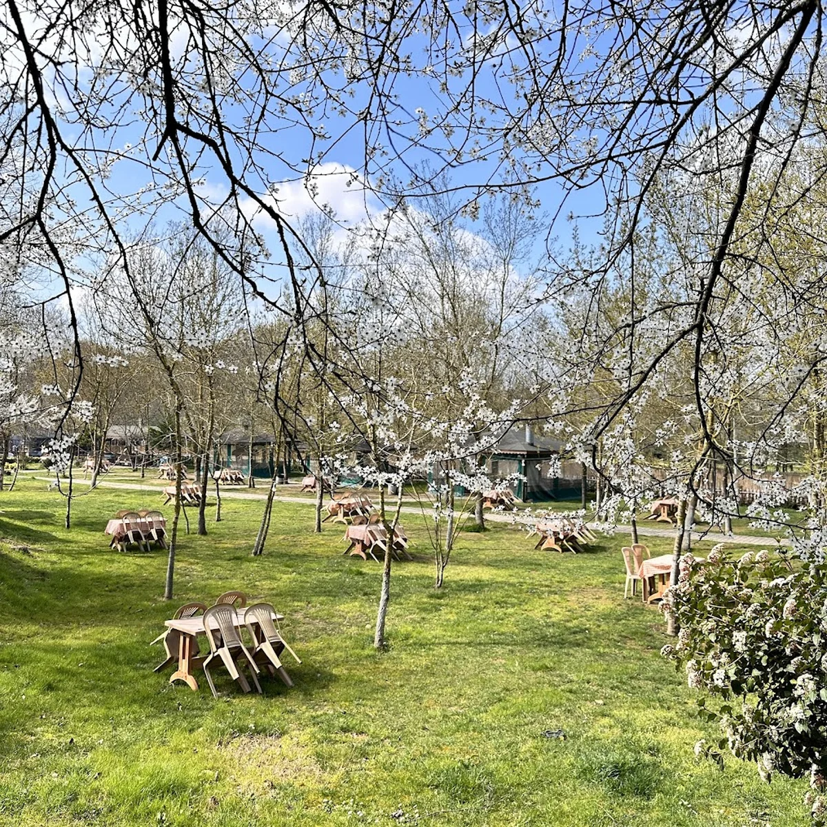 Aşgana Garden - Görsel 3