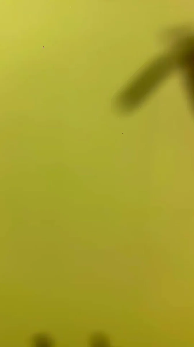 Kavurmacı Halil Efendi - Görsel 1