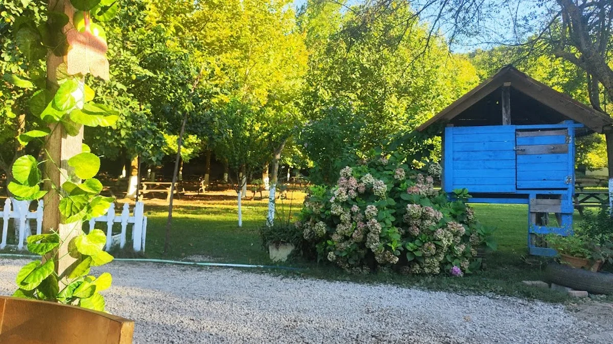 Baraj Mesire Alanı - Görsel 2