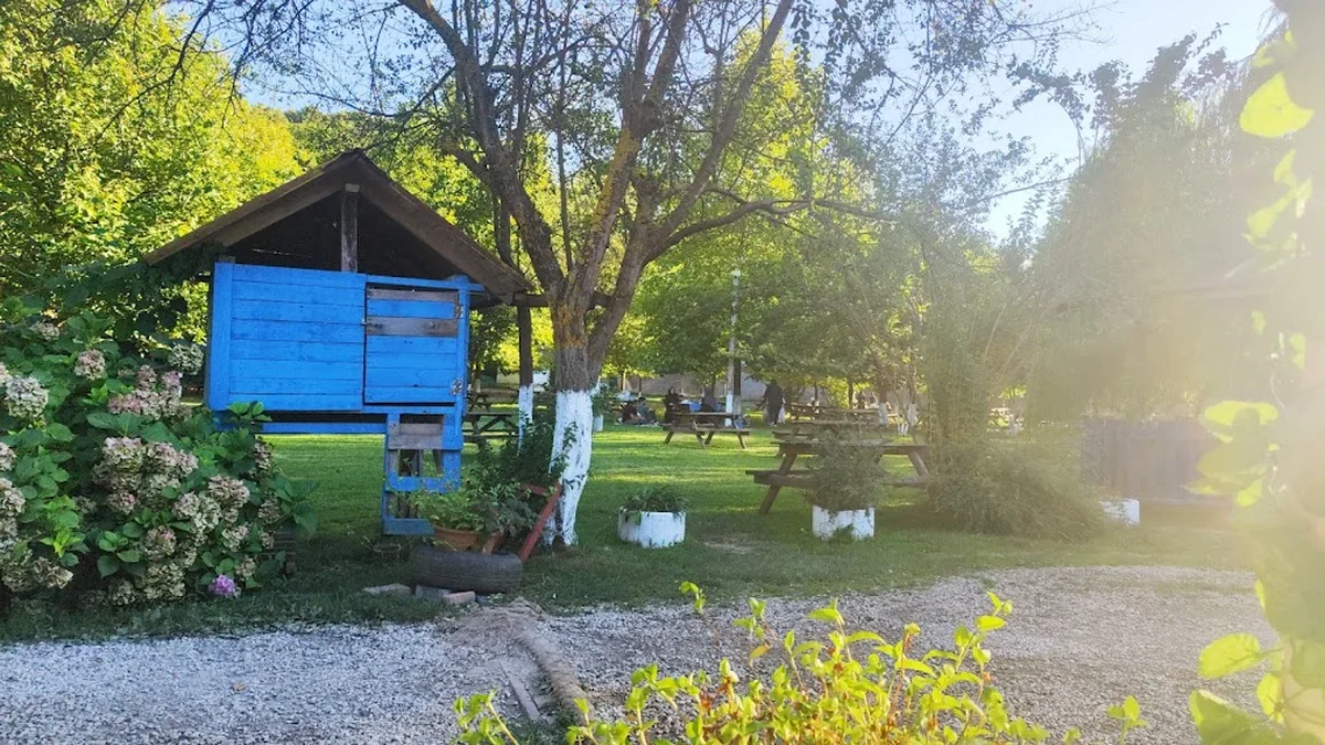 Baraj Mesire Alanı - Görsel 5