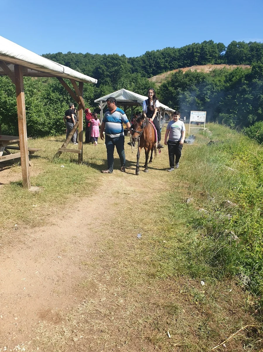 Baraj Mesire Alanı - Görsel 8