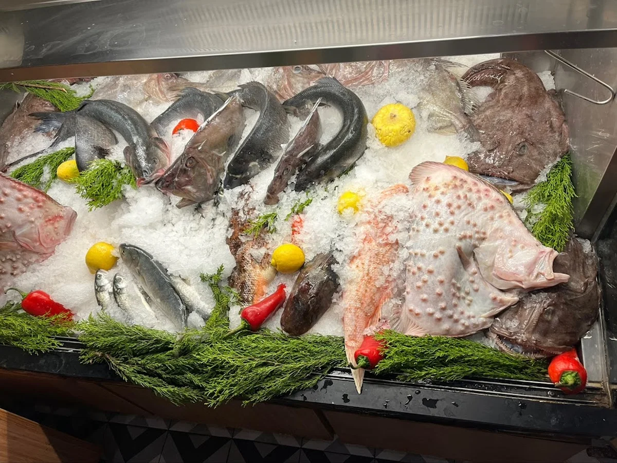 Park Balık Restaurant Çekmeköy - Görsel 5