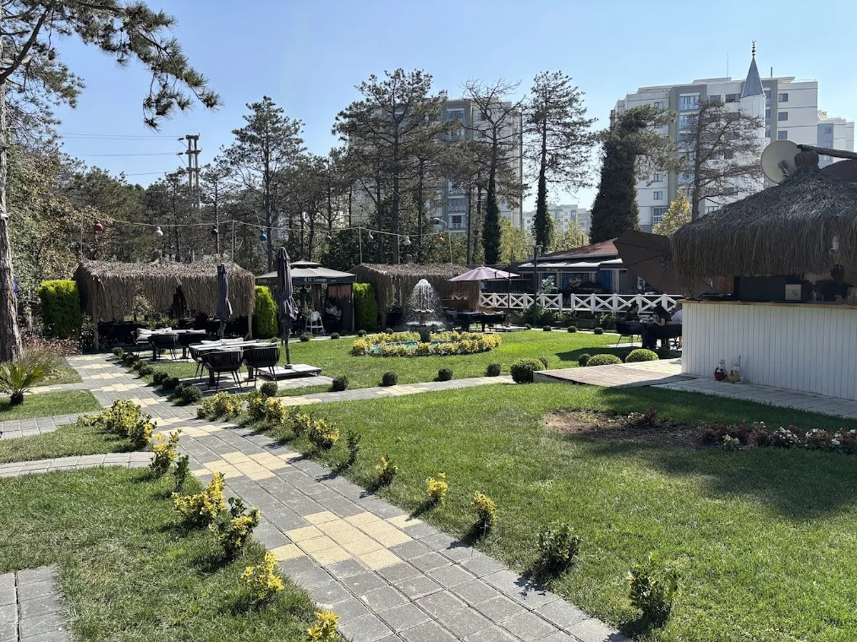 Di Lounge Jungle - Görsel 7