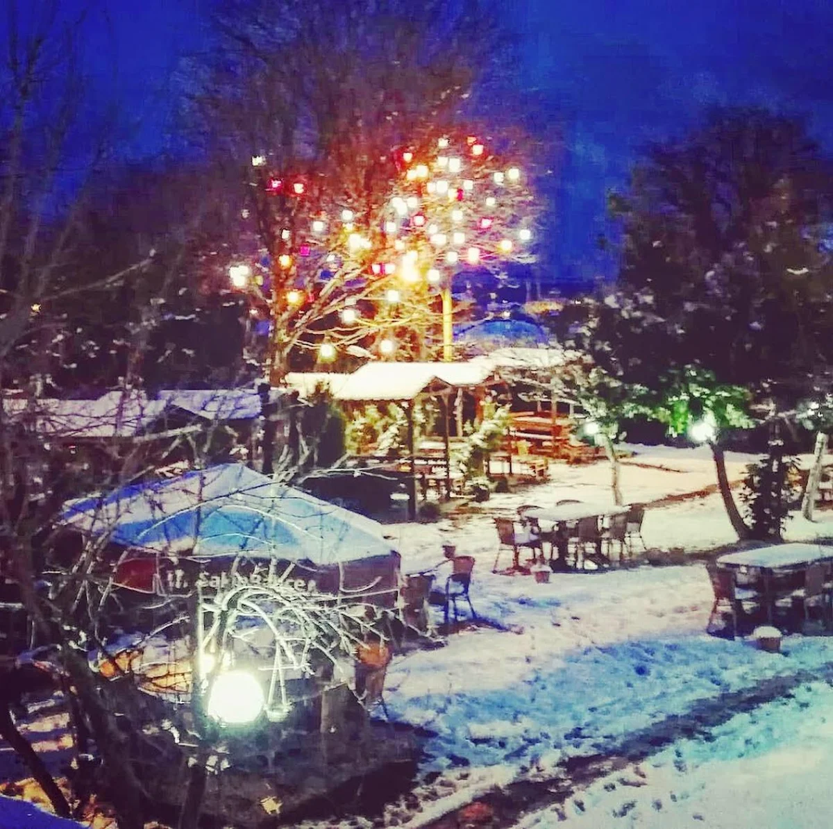 SakinBahçe Cafe&Restaurant - Görsel 2