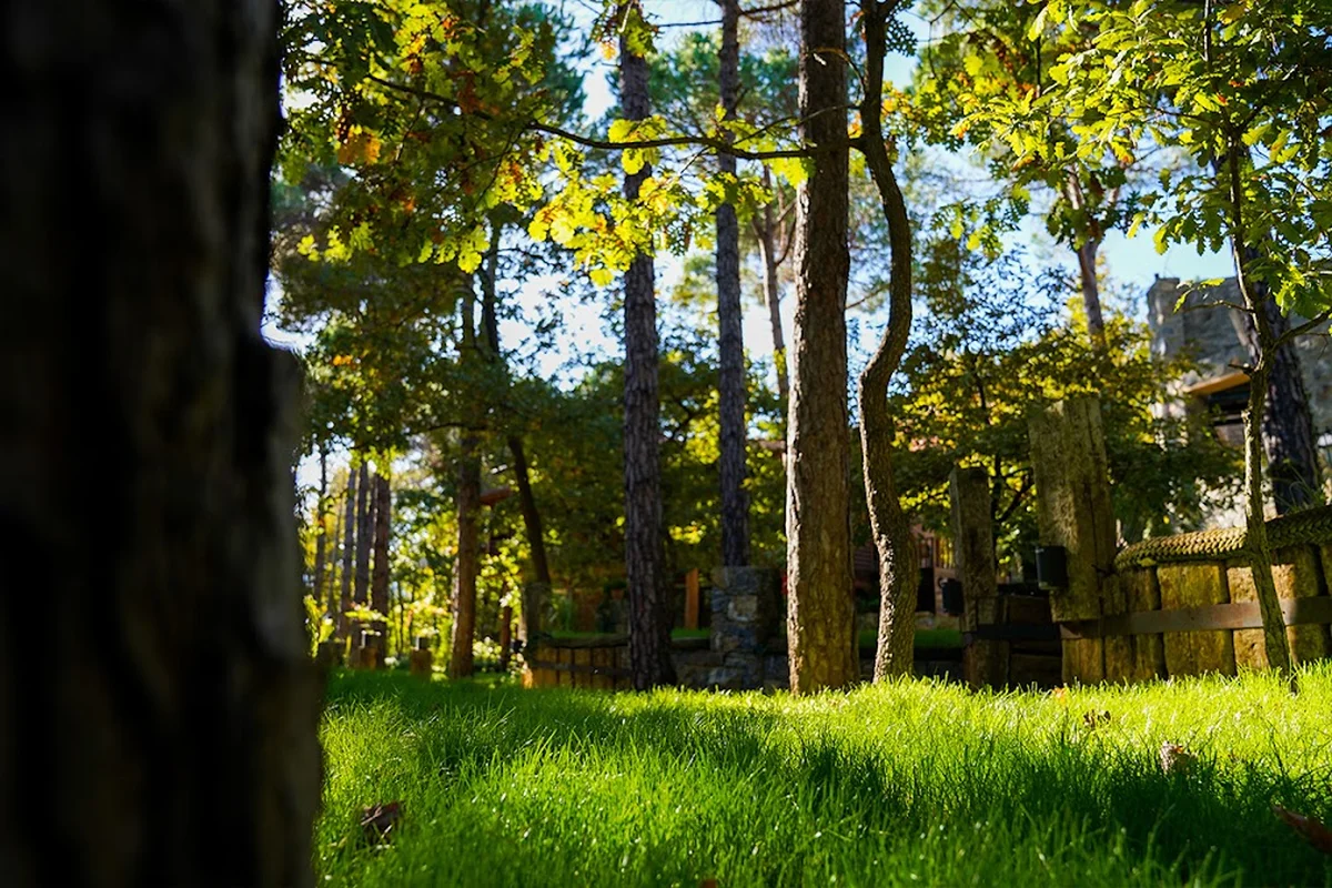 Mehmet Efendi Konağı - Görsel 3