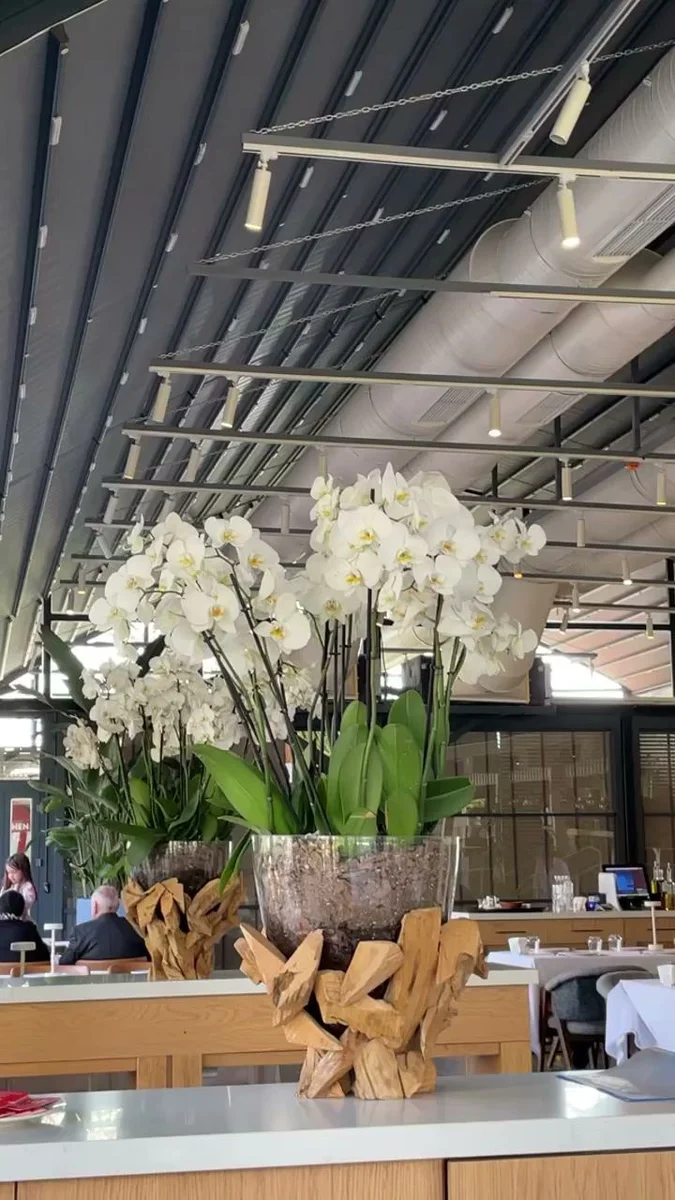 Tike Çekmeköy - Görsel 7