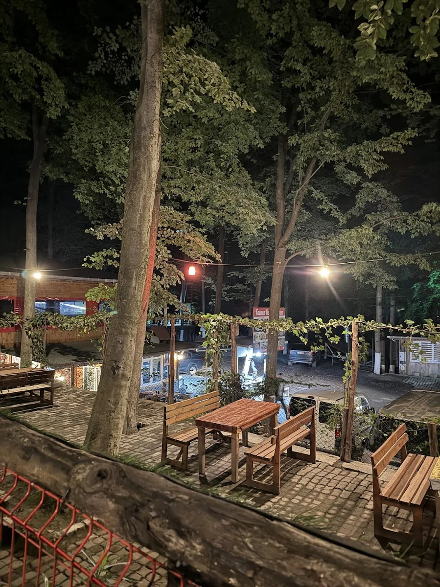 FATMA BACININ YERİ - Görsel 3