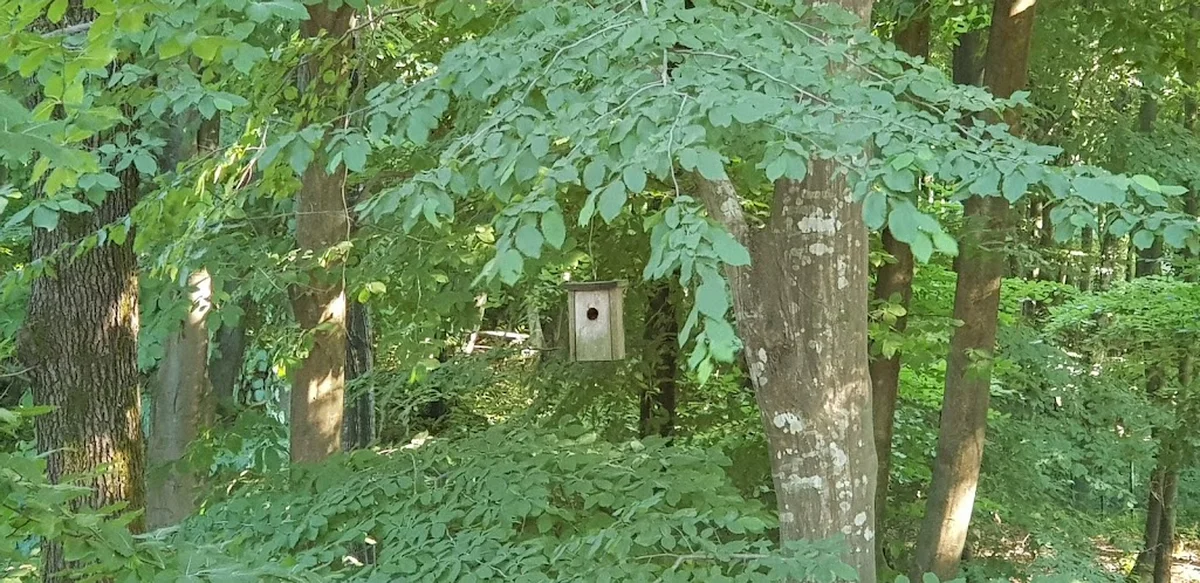 ALİ BABA ET&MANGAL - Görsel 6