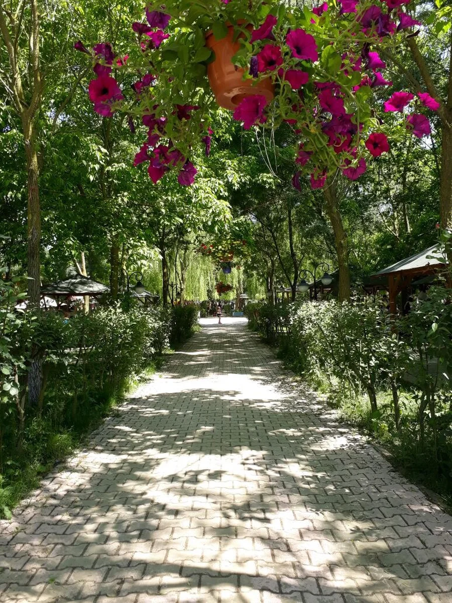 Piknik Omerli - Görsel 4