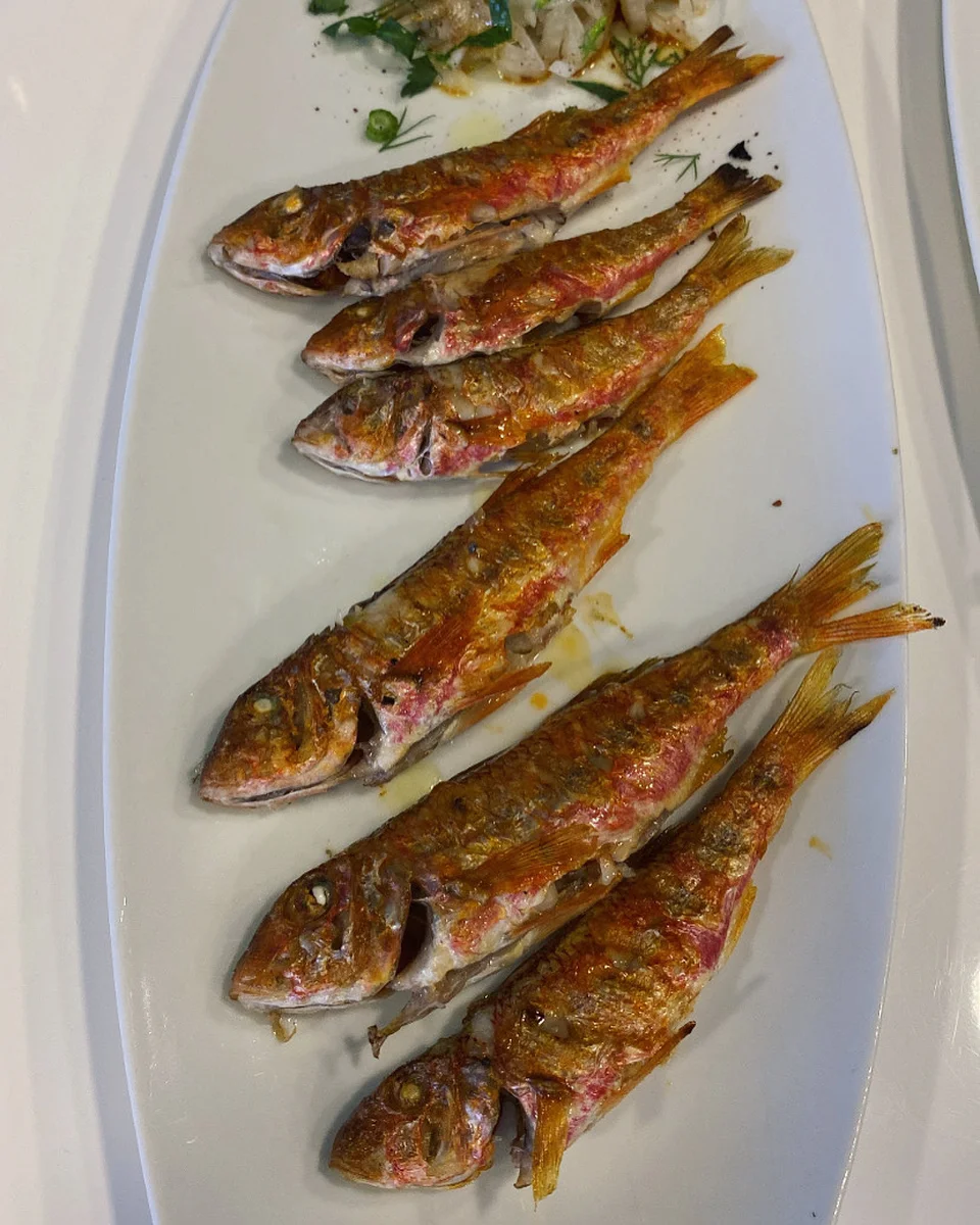 Naz Balık - Görsel 6