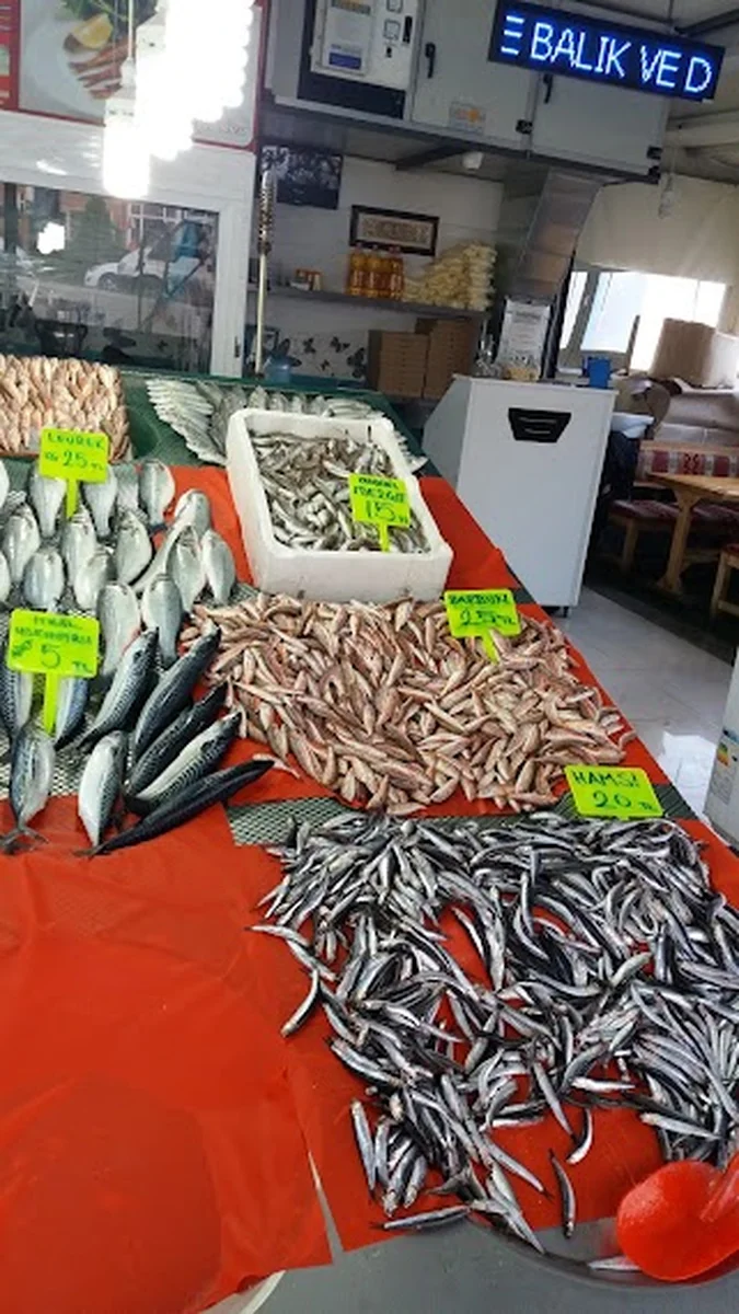 Avcılar Balıkçısı - Görsel 1