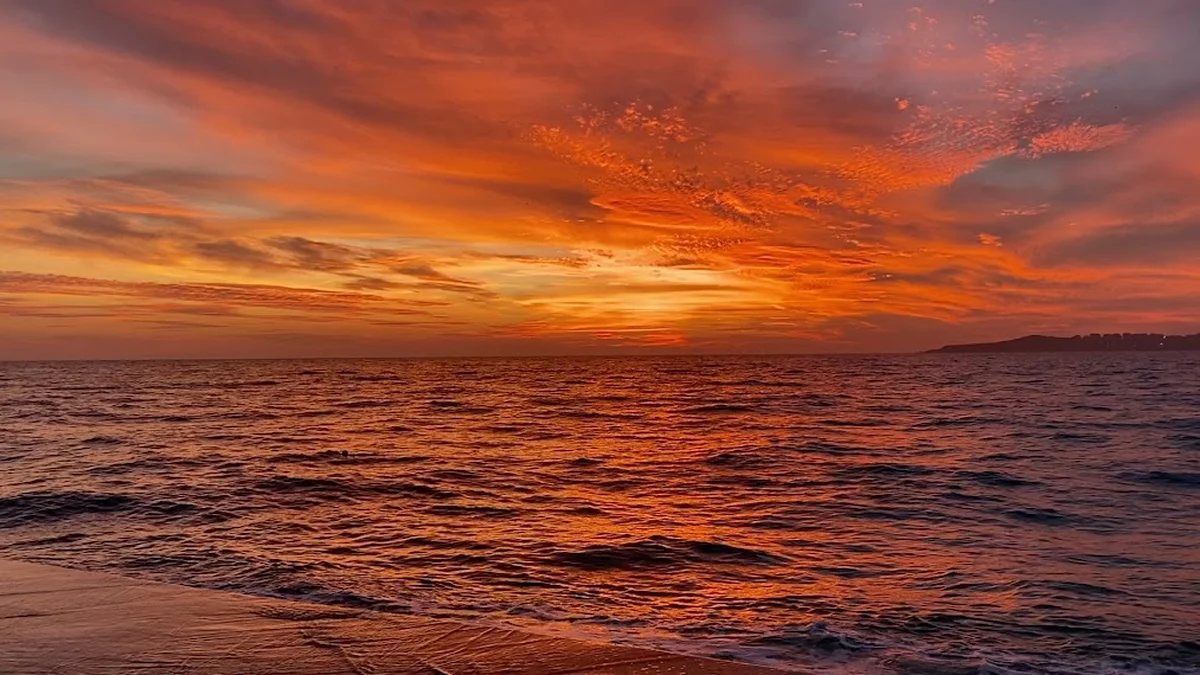 Saklıköy Cafe Restoran - Görsel 6