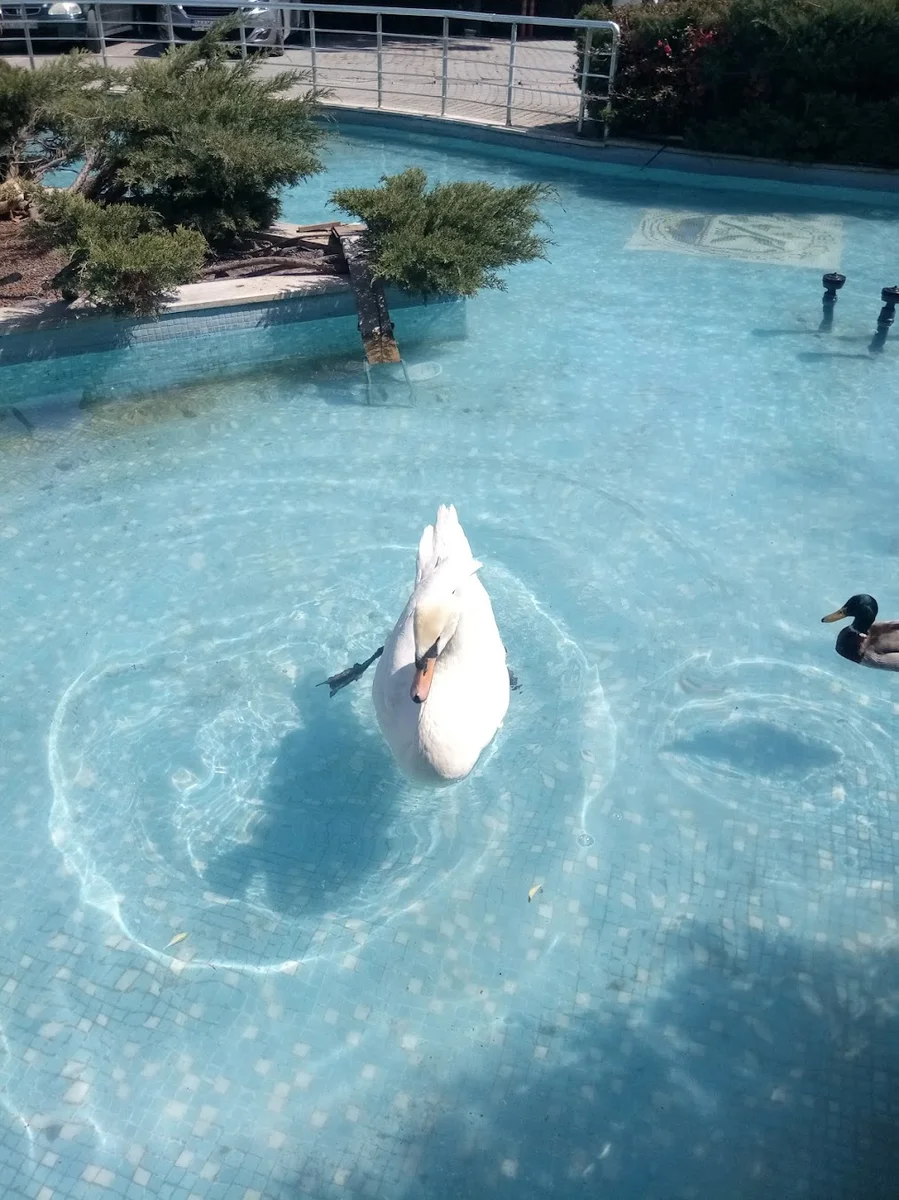 Serander Park - Görsel 1